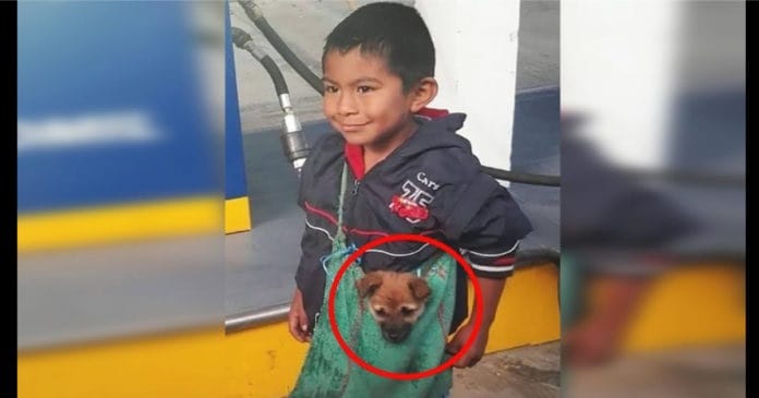 La triste storia dietro la tenera foto virale del bambino che porta con sé il suo adorabile cucciolo