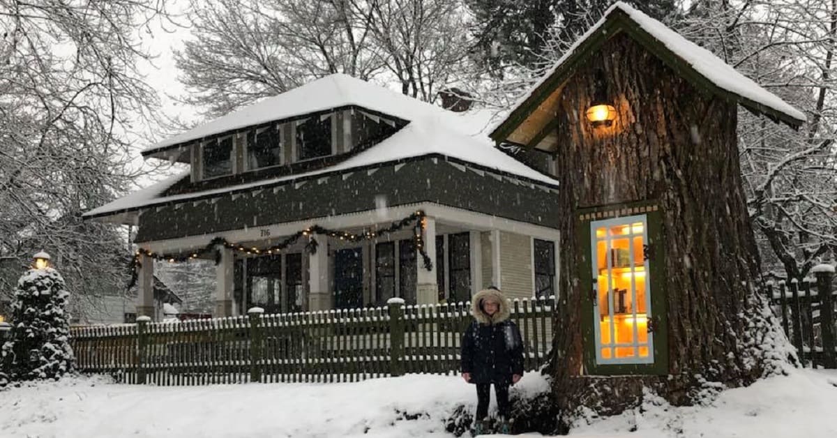 Giovane artista trasforma un ceppo d’ albero in una biblioteca magica ad accesso gratuito – Sembra un posto incantato