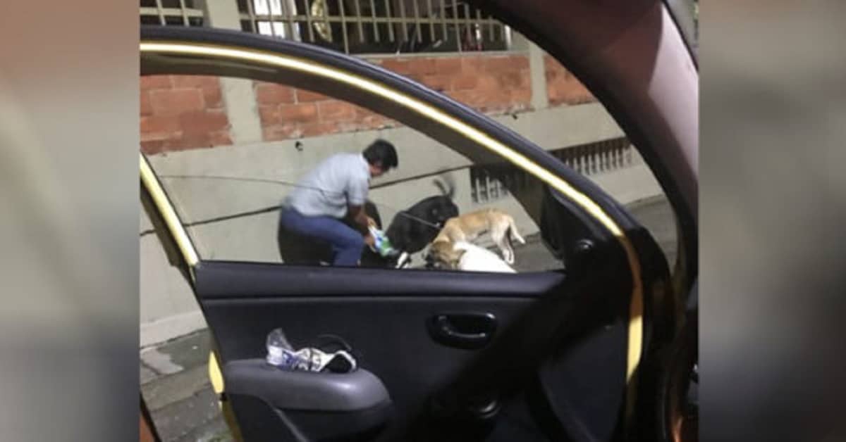 Il tassista chiede il permesso al passeggero per fermarsi un momento, la foto sui social rivela il motivo