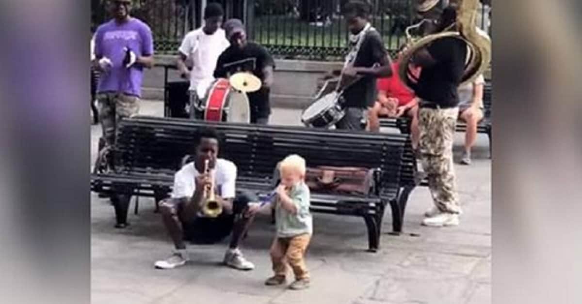Bambino si unisce alla Jazz Band di strada – Ruba immediatamente la scena con la sua falsa tromba