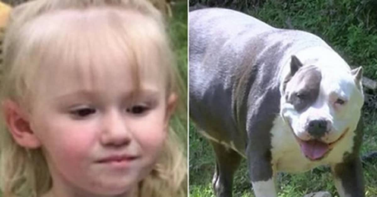 Scompare con il suo pitbull per 36 ore, poi il vicino si accorge della bambina dai capelli d’oro