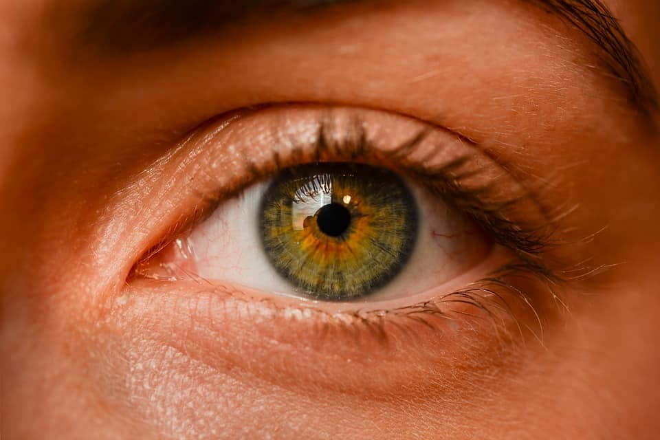 Solo il 2% della popolazione mondiale ha gli occhi verdi. Ma questa non è  l&amp;#39;unica loro rarità