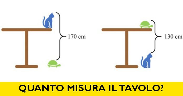 Un indovinello cinese diventa virale chiedendo di misurare un tavolo con un gatto e una tartaruga