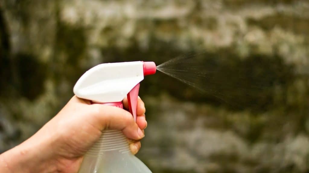 Il Trucco Per Avere Sempre Un Appartamento Profumato Ecco Il Deodorante Fai Da Te Che Vorrai Sempre In Casa