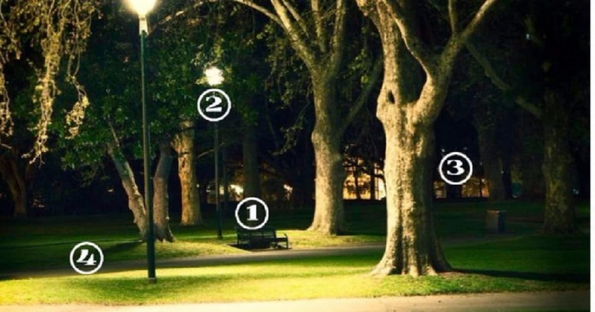 Test: Quale area del parco è più sicura? Scopri chi sei in base alla tua risposta