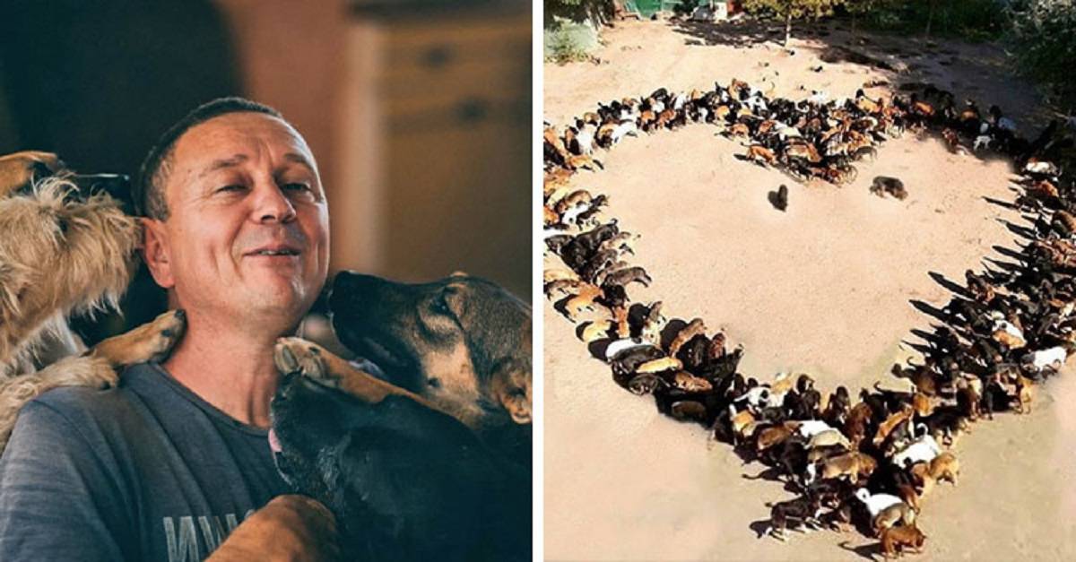 Uomo serbo ha salvato oltre 1000 cani morenti per le strade e gli ha ridato una vita.