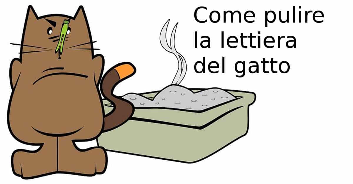 Come pulire la lettiera del gatto