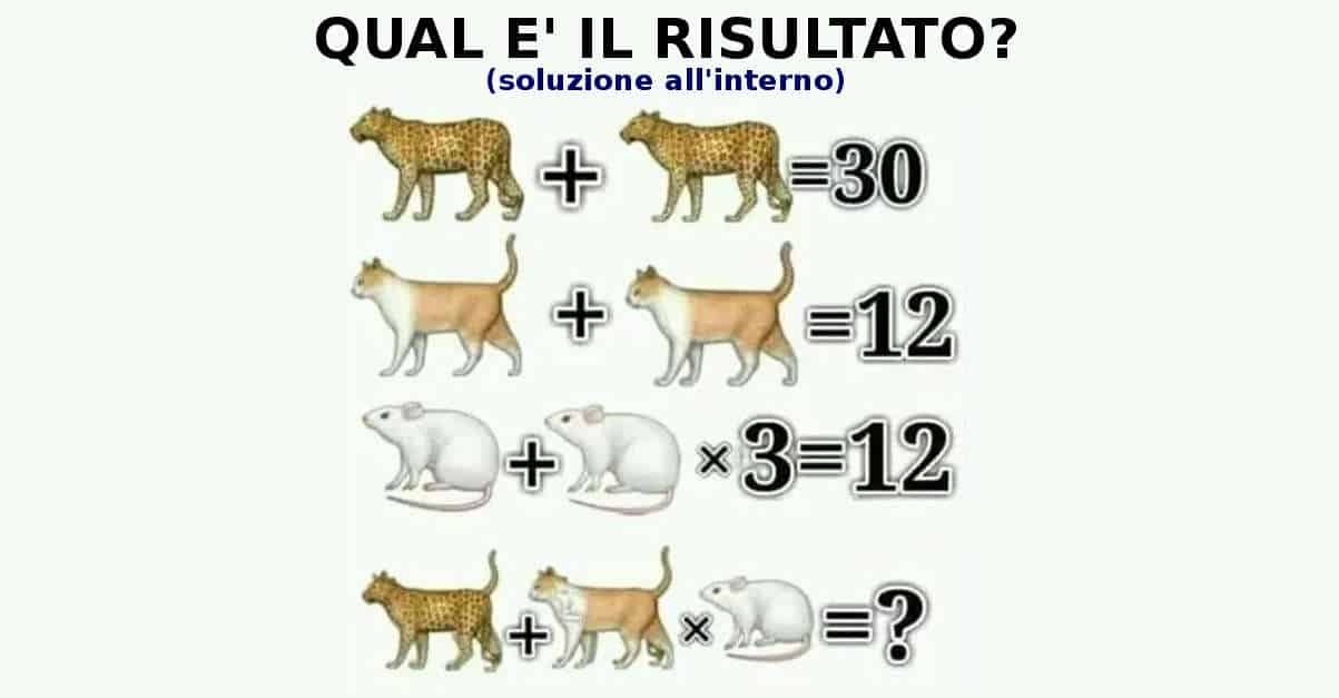 Sai rispondere all’enigma del gatto, del topo e del leopardo? Scopri la soluzione!