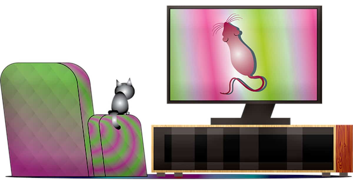 Sai cosa percepisce il tuo animale domestico quando guarda la televisione con te?