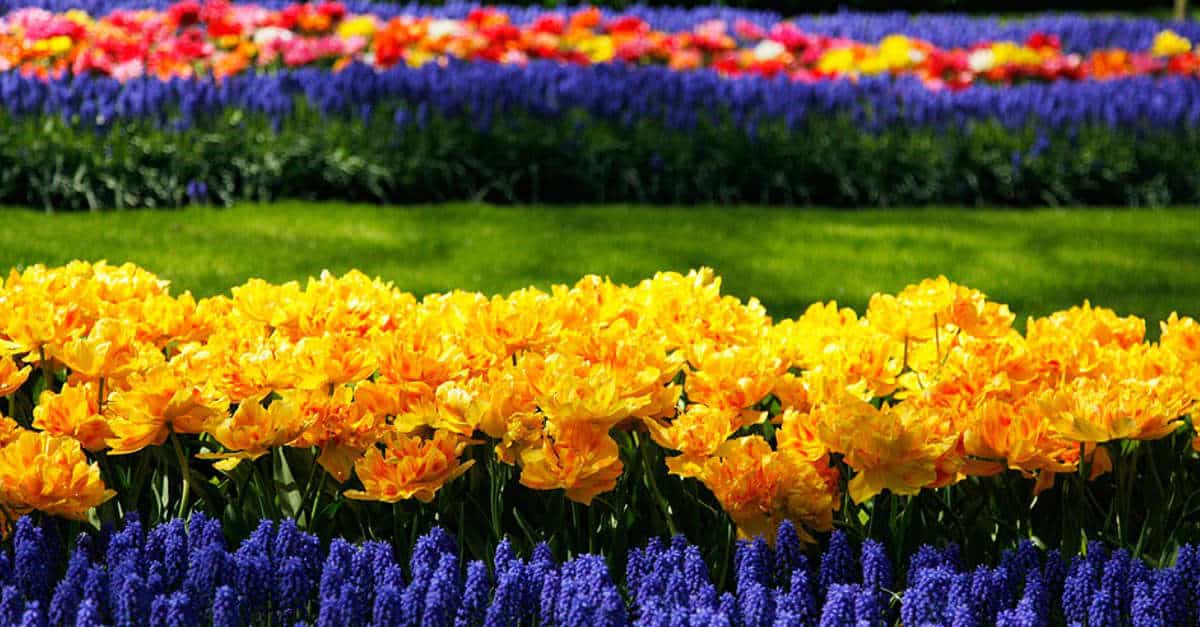 Gli 8 giardini più belli del mondo