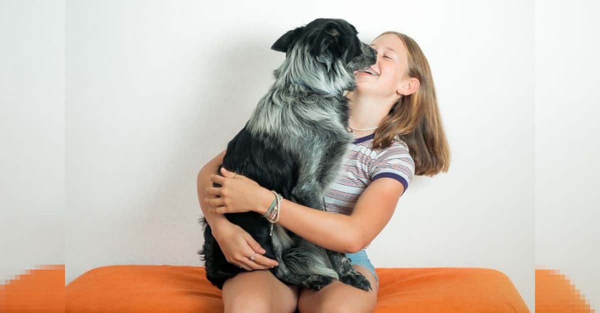 5 errori che commettiamo con i nostri cani e possono influire sulla loro salute