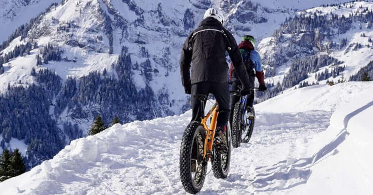 Come si comporta ogni segno durante l’inverno? Ecco la lista completa!
