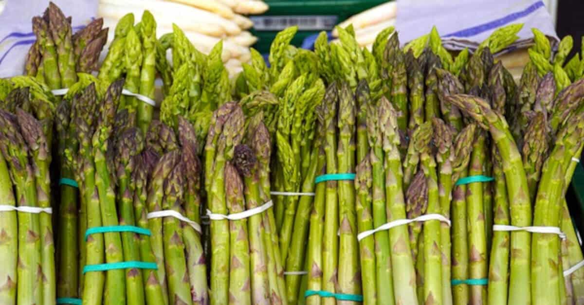 Asparagi: perchè dovrebbero far parte della tua dieta. Tutte le proprietà benefiche che non conoscevi.