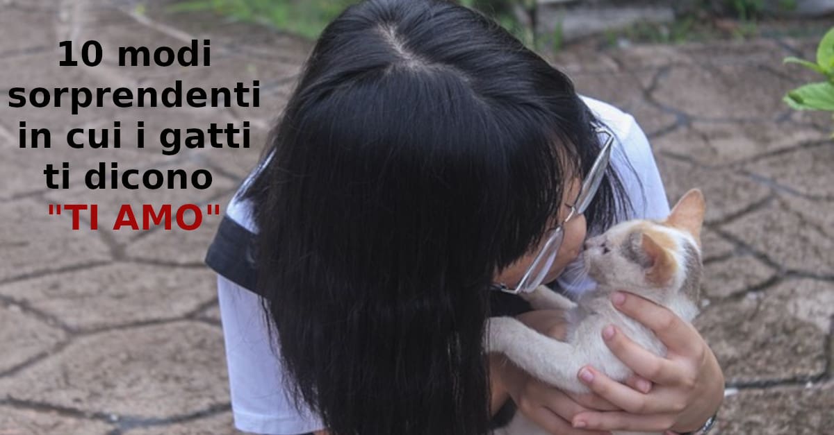 10 modi sorprendenti in cui i gatti ti dicono “TI AMO”