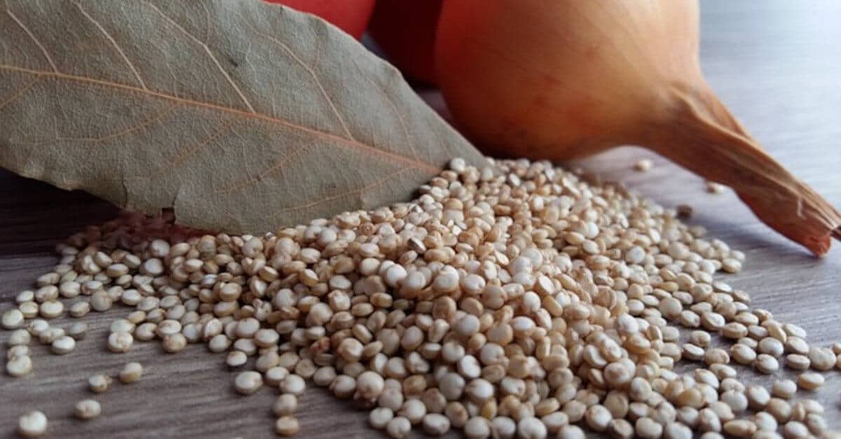 Quinoa: come sfruttare tutti i benefici  e come cucinare questo super alimento