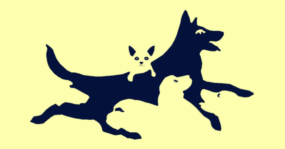 TEST di personalità: quanti cani veni? La tua risposta ti dirà la tua età mentale