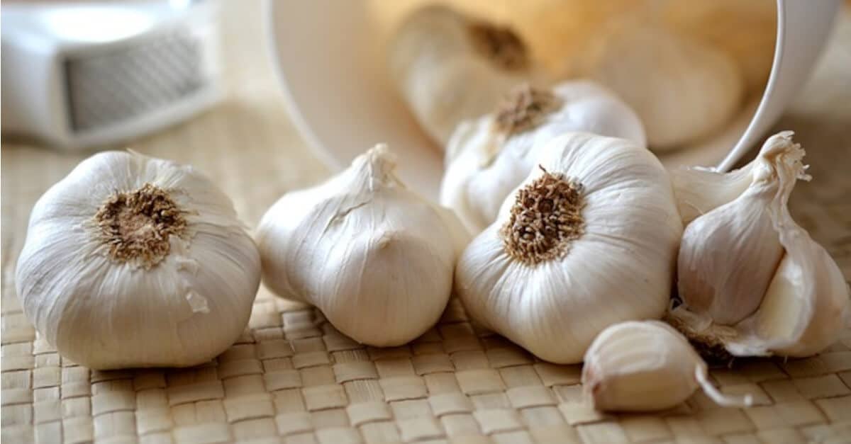 Trucchi dello chef: consigli per far durare più a lungo il tuo aglio fresco
