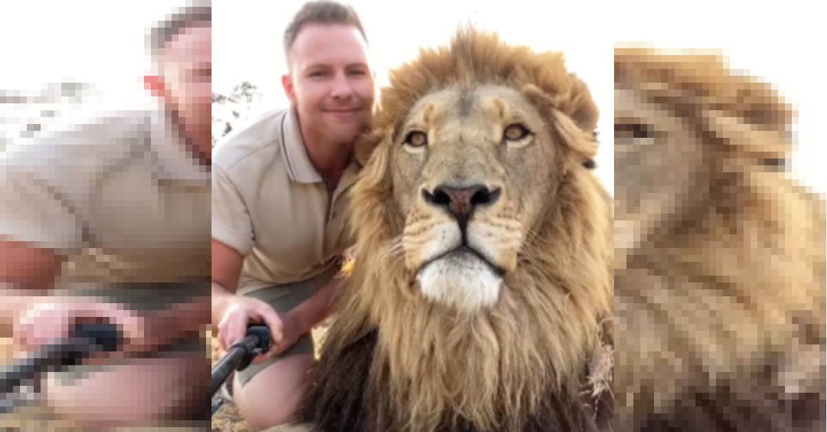 Eccezionale! Ha 25 anni e condivide la sua vita insieme a leoni e tigri in Africa