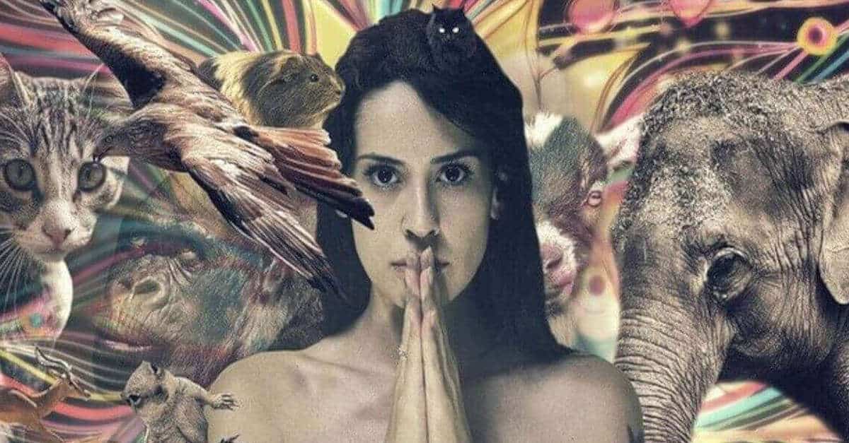 Qual è l’animale spirituale che protegge il tuo segno zodiacale?