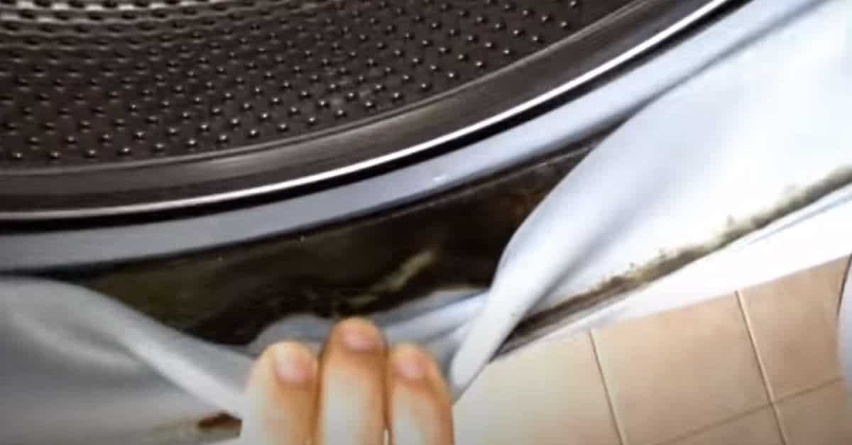Come pulire la guarnizione della lavatrice diventata nera?