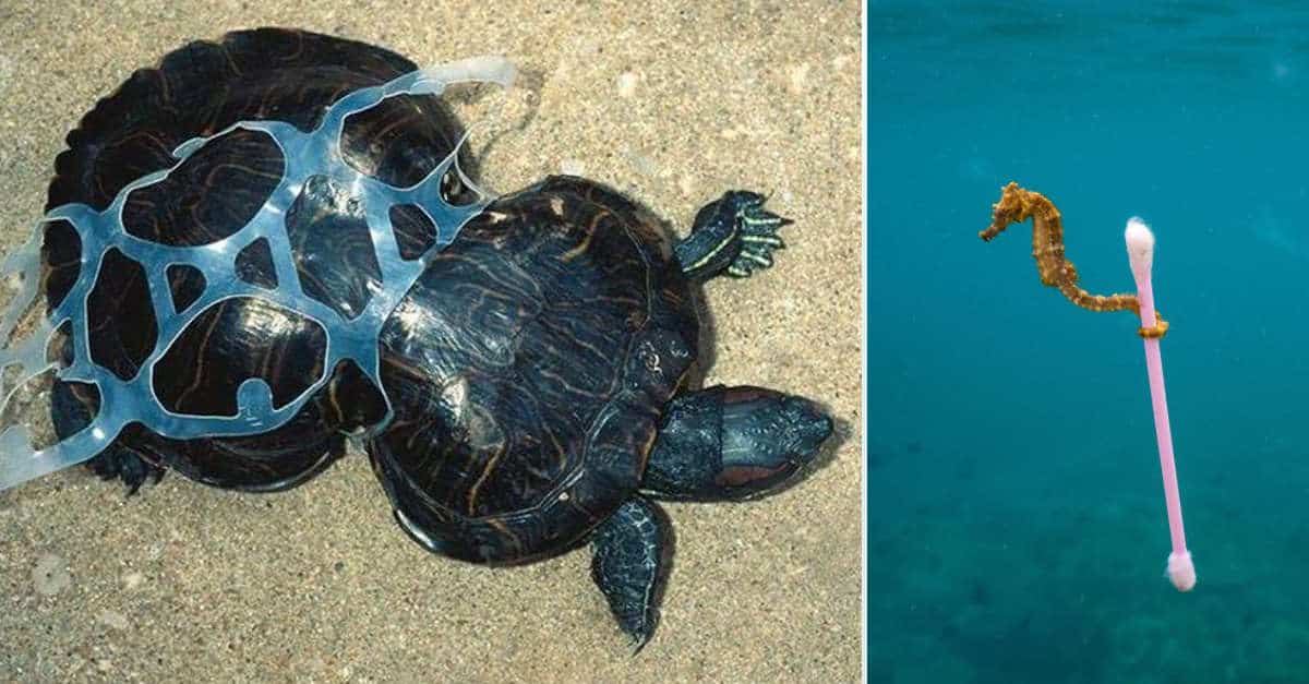 17 Foto che mostrano come stiamo trasformando il nostro pianeta con l’inquinamento