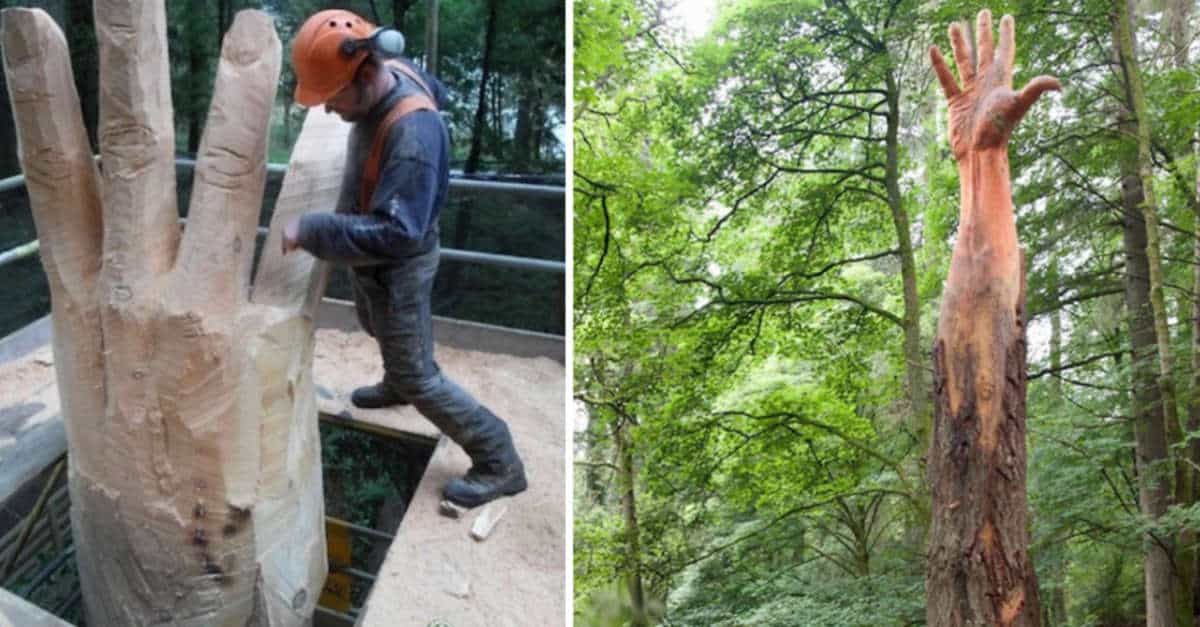 Questo scultore riporta in vita alberi danneggiati usando la sua motosega