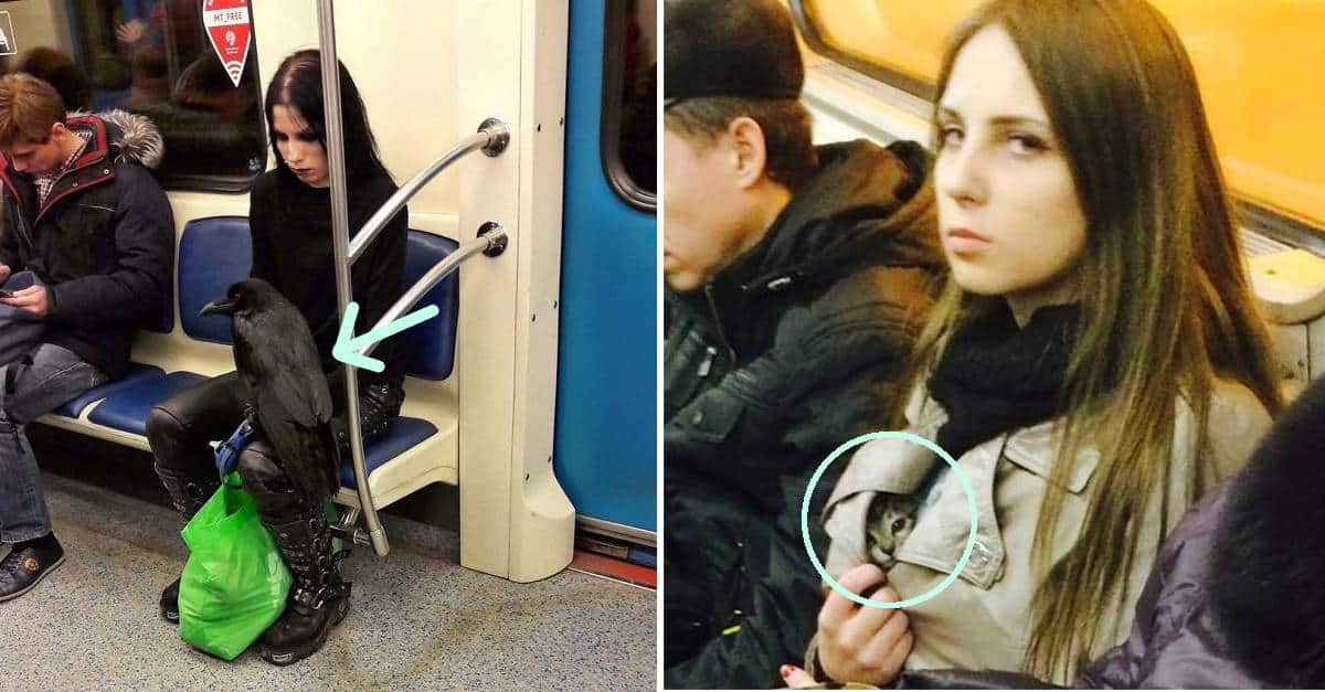 Le 20 immagini più strane di animali e persone visti in metropolitana