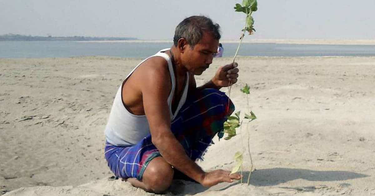 Un uomo ha trascorso 40 anni piantando ogni giorno alberi su un’isola arida, ora è una foresta gigantesca