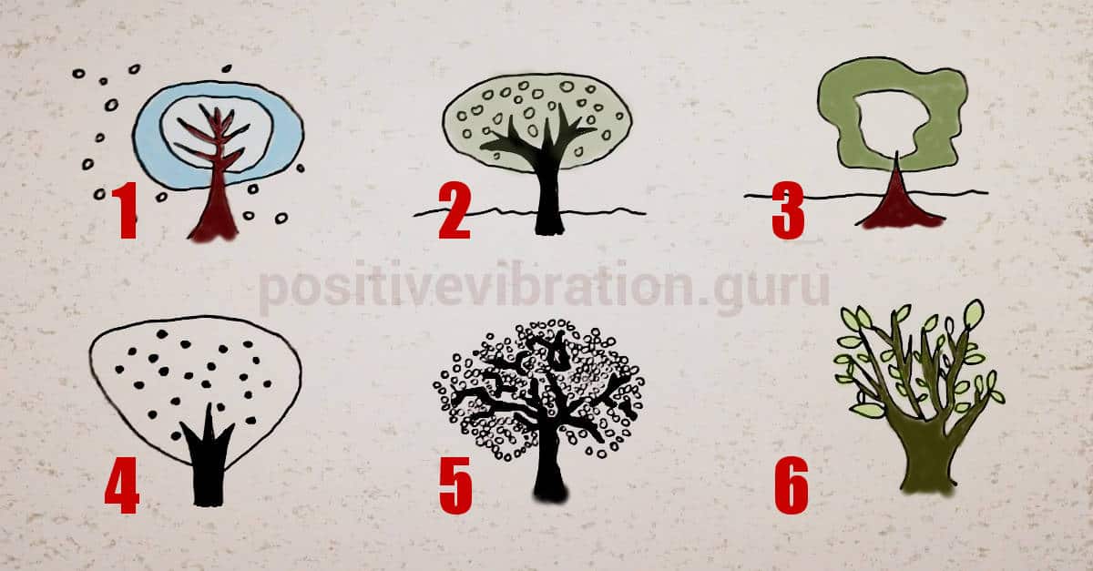 Test di personalità: scegli un albero e scopri subito i tuoi punti di forza e le tue paure