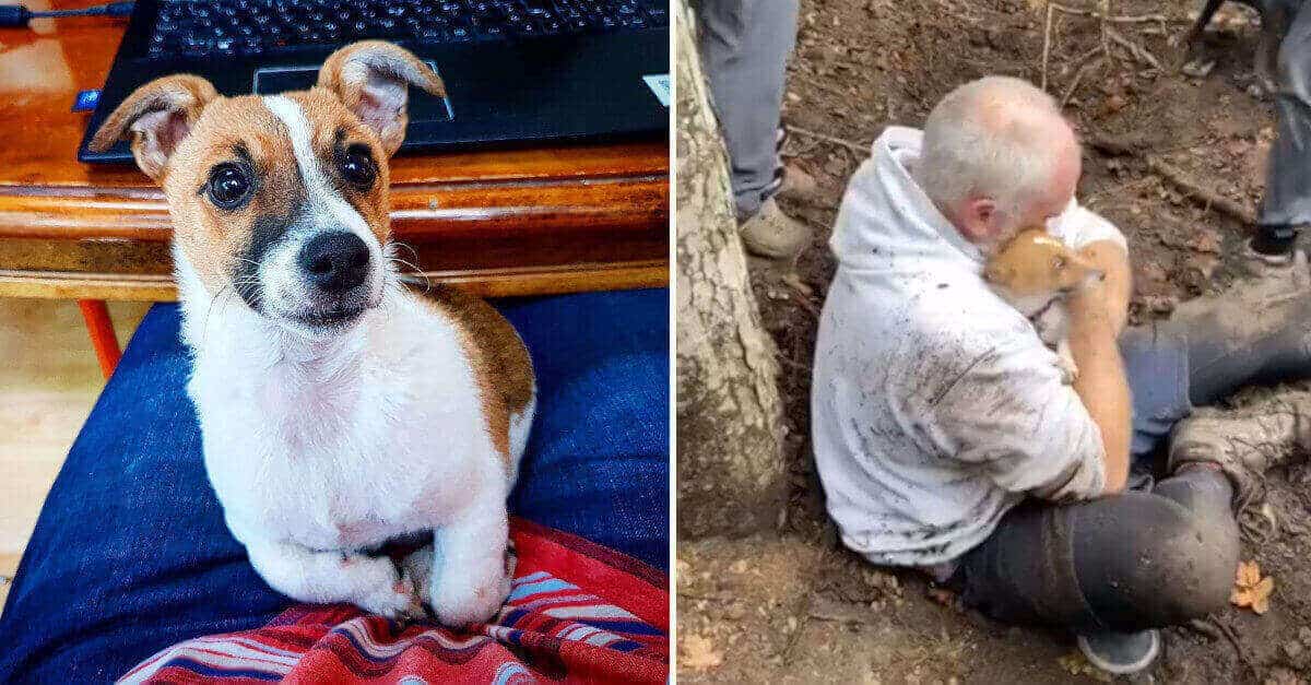 Il suo cane era scomparso, quando si riuniscono scoppia in lacrime. Il video scioglie il cuore!