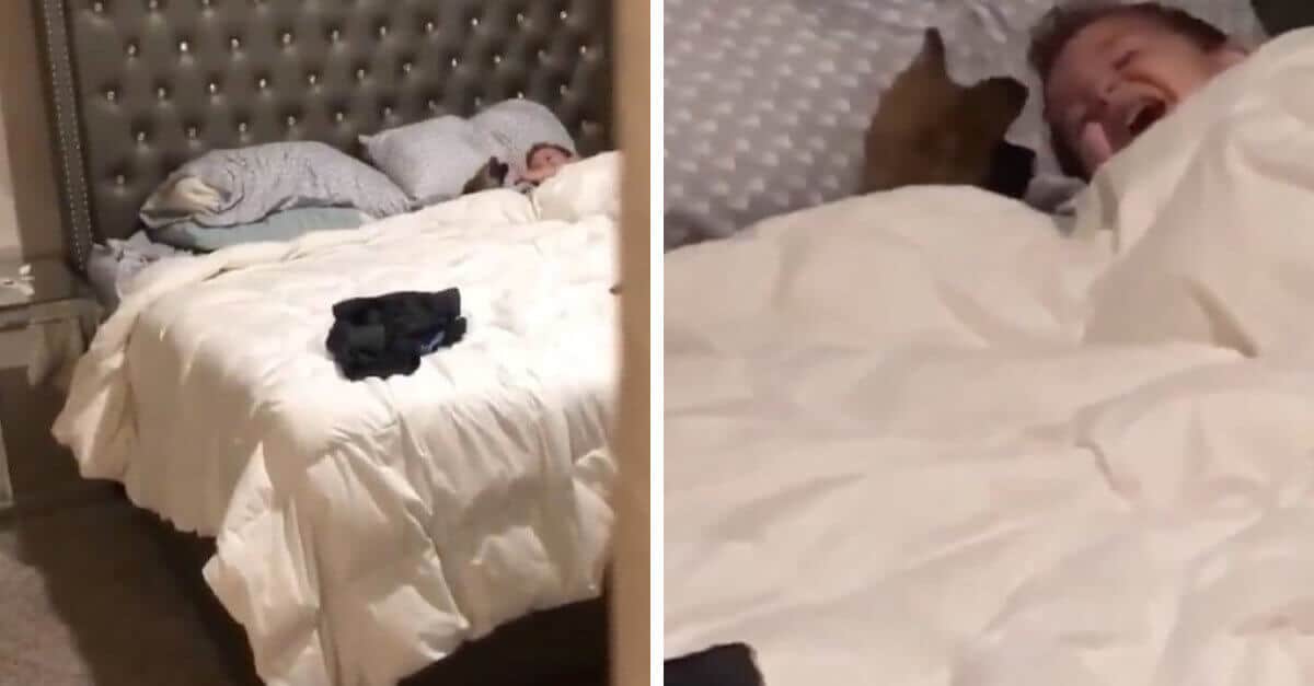 La cosa più carina che vedrai oggi: cucciolo e bambino giocano a letto e sono pura dolcezza