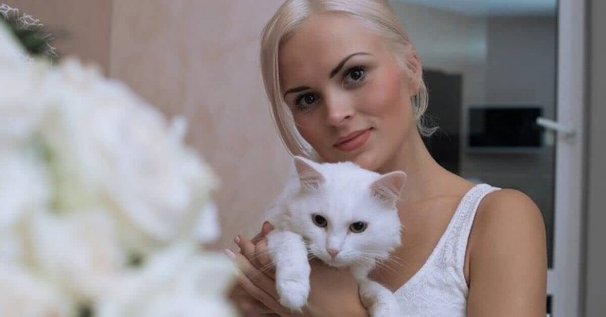 3 Segni dello zodiaco che amano alla follia i gatti