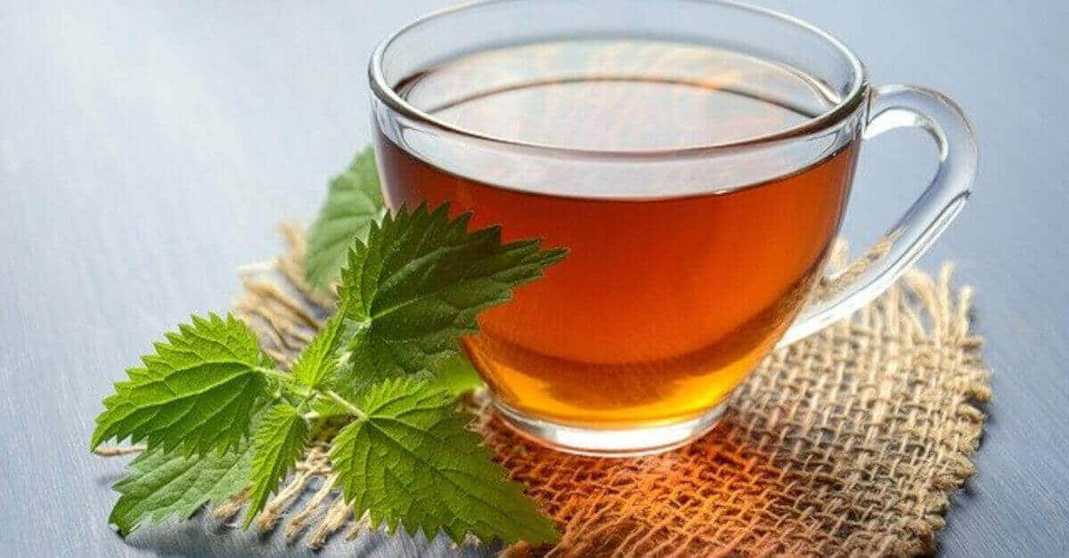 6 tisane depurative da fare in casa