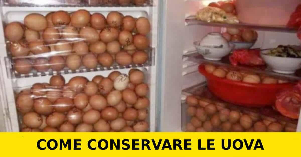 2 Cose che dovresti tenere a mente quando conservi le uova, perché di solito lo facciamo male