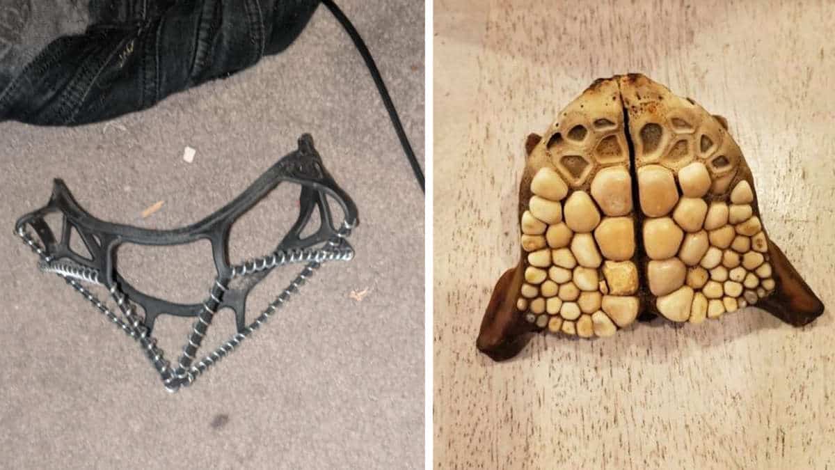 17 persone che non hanno capito cosa stavano fotografando