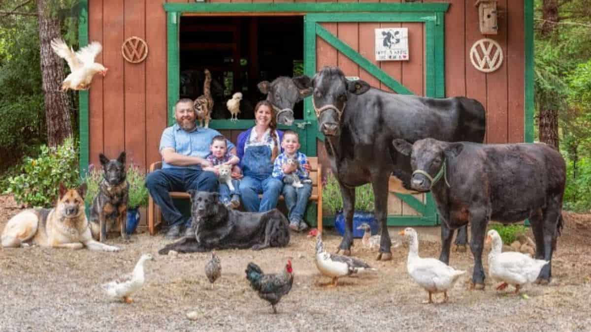 14 Peculiari foto di famiglia di un fotografo in cui compaiono tutti gli animali di casa