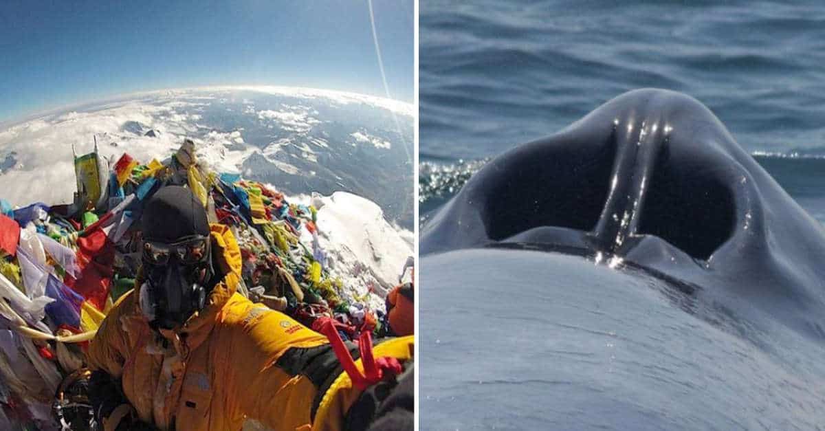 13 foto che mostrano dei lati sconosciuti del mondo