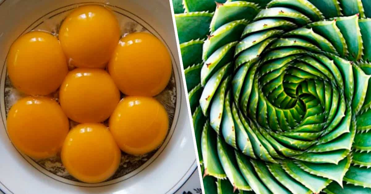 13 immagini che daranno grande soddisfazione ai più perfezionisti