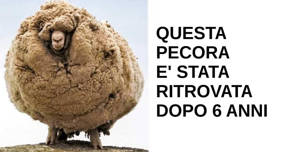 18 Immagini stravaganti che ti mostreranno un lato diverso del pianeta