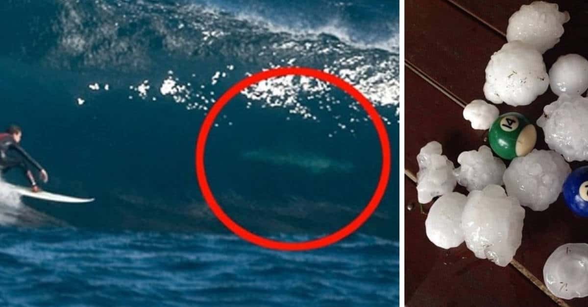 17 Foto che dimostrano che la natura in Australia puo’ far paura