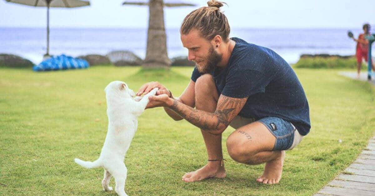 I segni zodiacali che amano di più gli animali