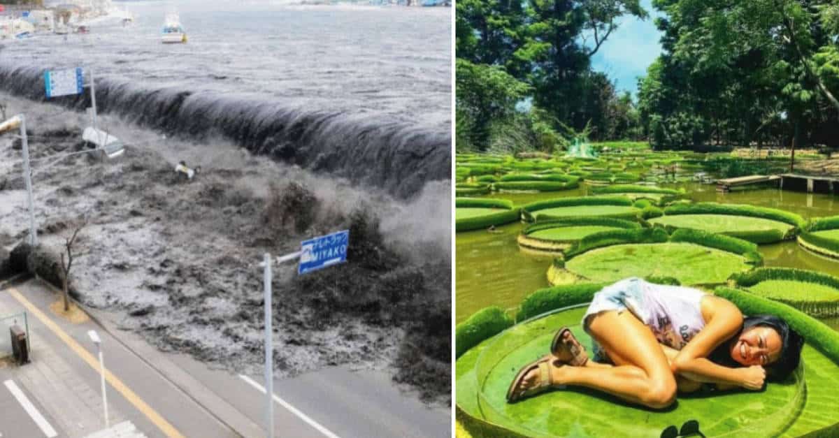 14 Immagini che mostrano l’incomparabile potere della natura