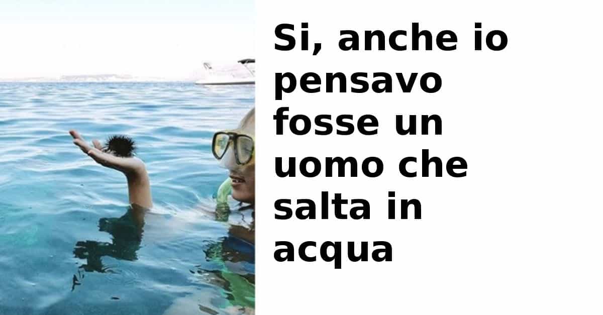 18 foto in cui il cervello immagina qualcosa di diverso dalla realtà