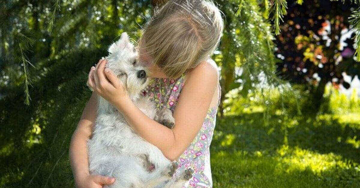 I segni dello zodiaco che amano di più gli animali, non possono farne a meno!