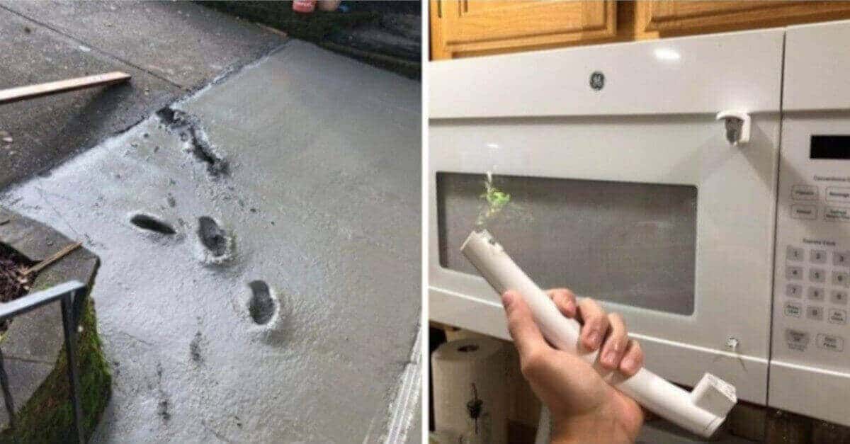 14 persone che hanno avuto proprio una brutta giornata