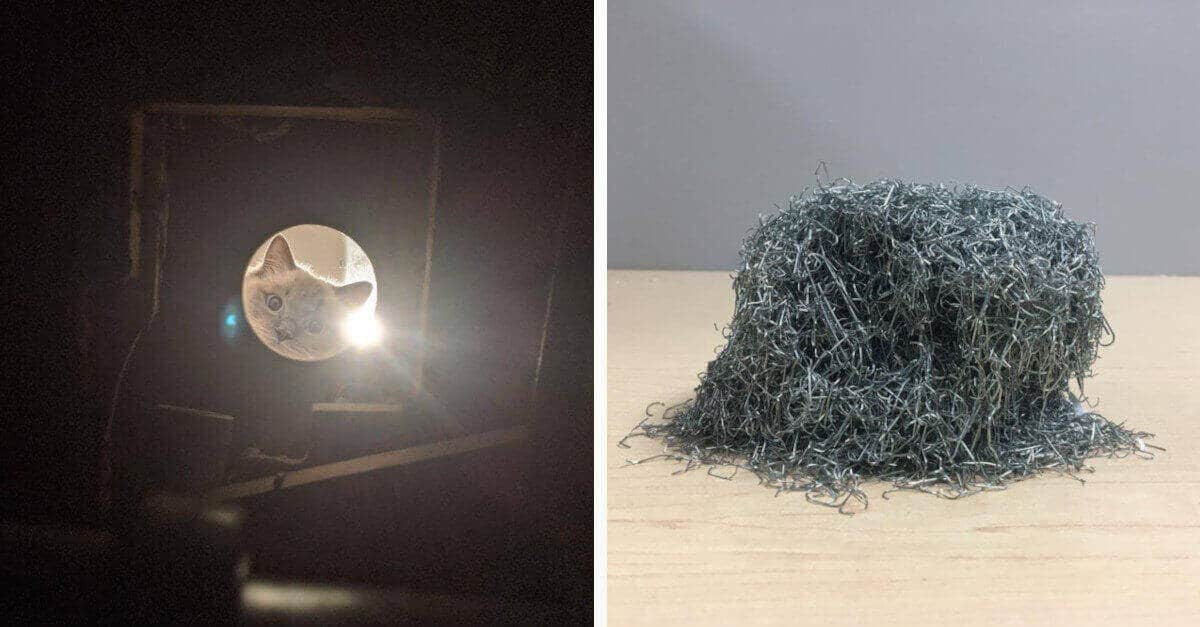 20 foto che illustrano alcune sfaccettature sconosciute di diverse professioni