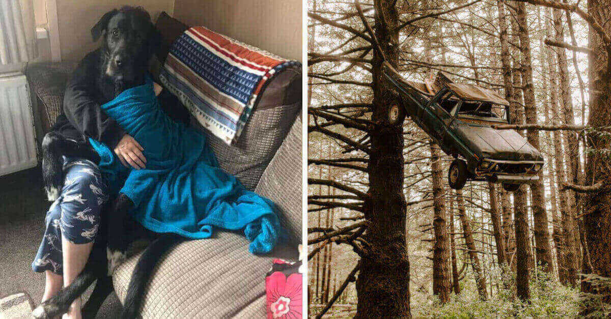 14 piccole scoperte condivise dagli utenti di Internet