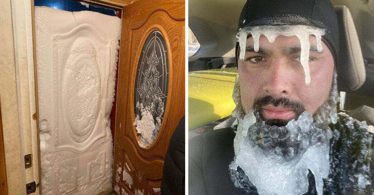 20 foto che illustrano quale sia il risultato di una gelida notte invernale