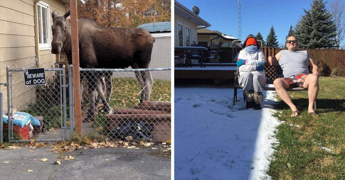 Più di 23 foto che dimostrano che non esiste un paese come il Canada