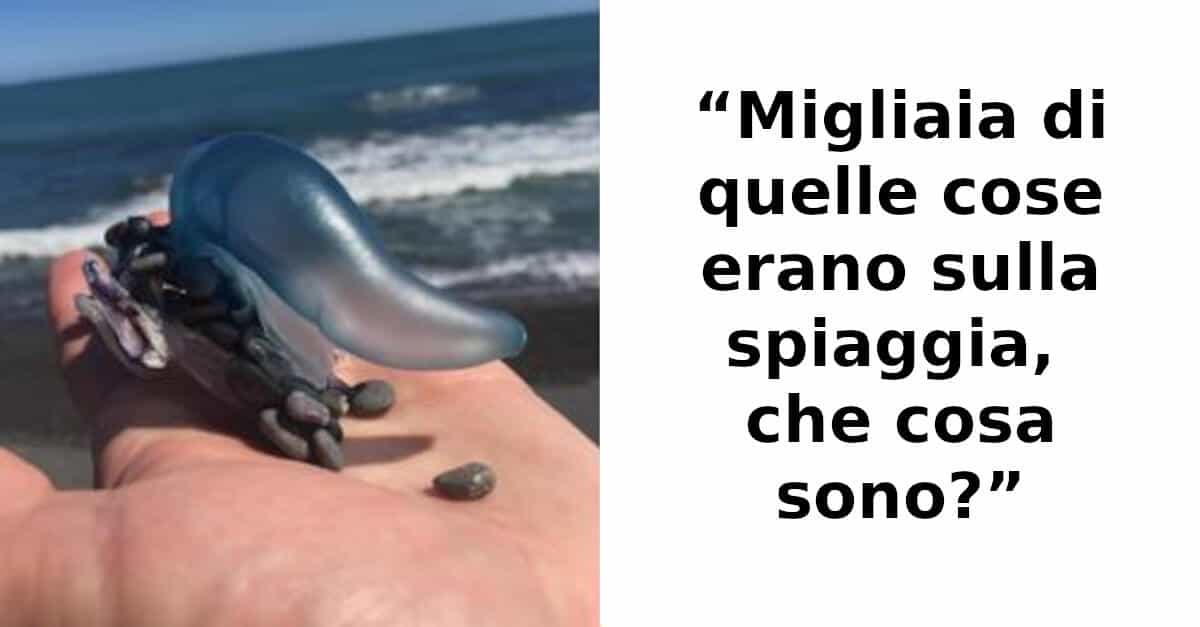 14 immagini di cose strane e la loro spiegazione